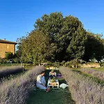 Claudia Toscana - Nocciolo- 10 Min Da Siena * Malignano