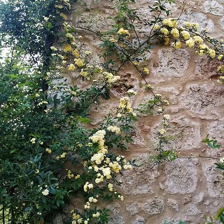 Apartment Claudia Toscana - Nocciolo- 10 Min Da Siena