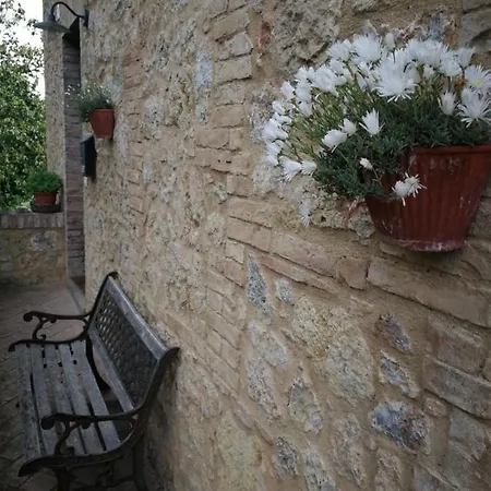 Apartment Claudia Toscana - Nocciolo- 10 Min Da Siena *