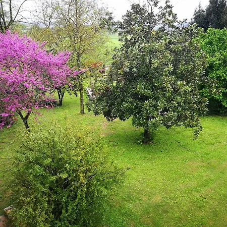 Apartment Claudia Toscana - Nocciolo- 10 Min Da Siena