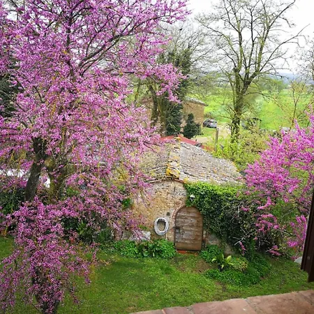 Apartment Claudia Toscana - Nocciolo- 10 Min Da Siena Malignano